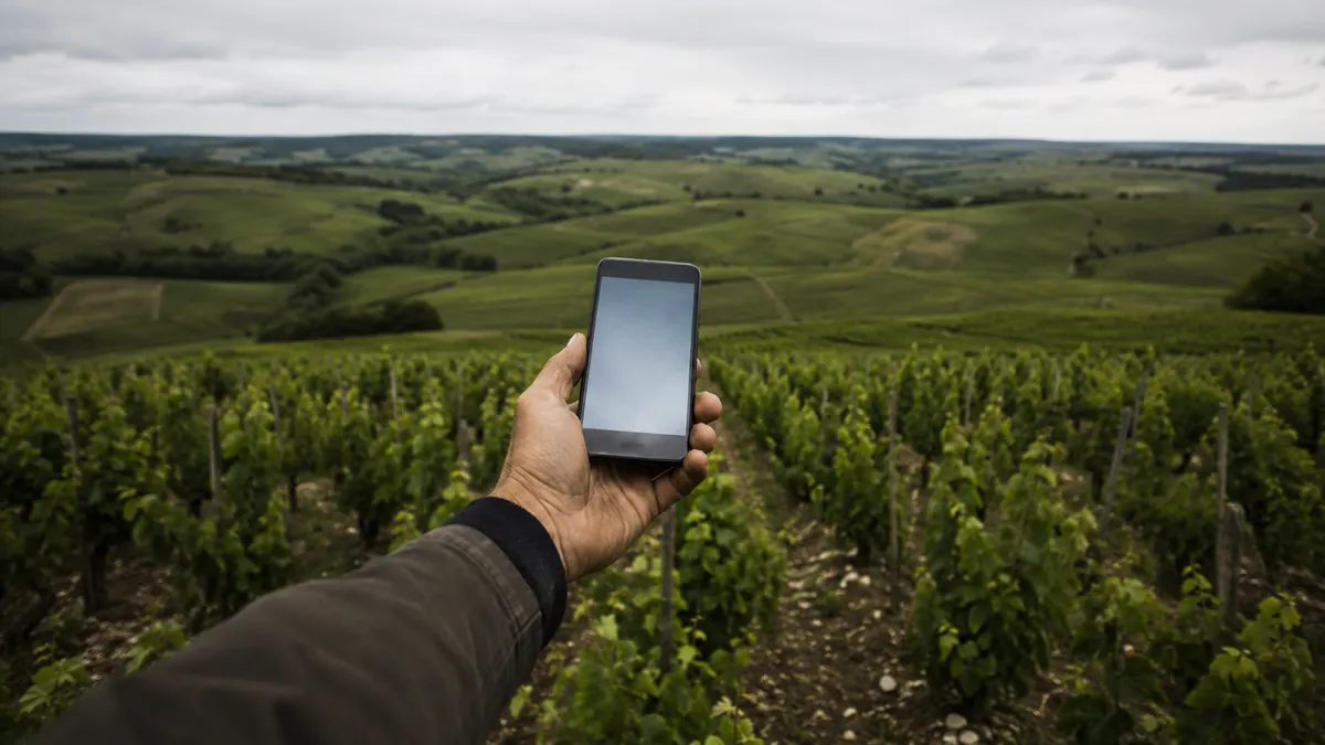 Une main tient un téléphone au milieu des vignes, sans réseau